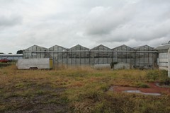 Achterdiep Noordzijde, 9611 BT Sappemeer - Kas Sappemeer foto 6.JPG